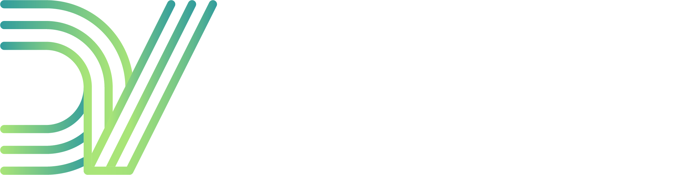 DV Soft